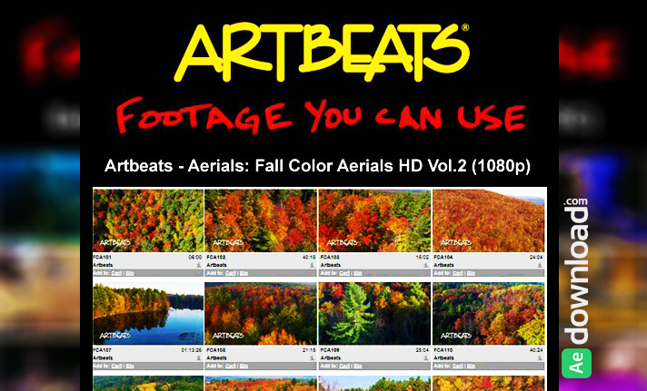 ARTBEATS - AERIALS FALL COLOR AERIALS HD VOL.2 (1080P)