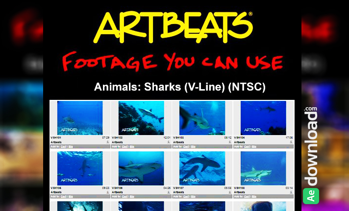 ARTBEATS - ANIMALS SHARKS (V-LINE) (NTSC)