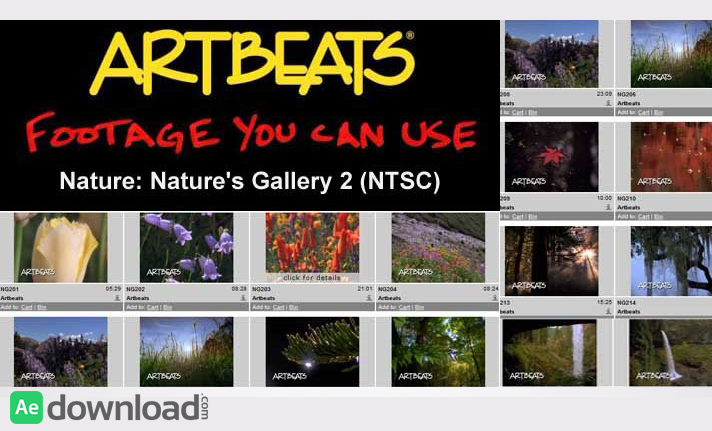 ARTBEATS - NATURE NATURE'S GALLERY 2 (NTSC)