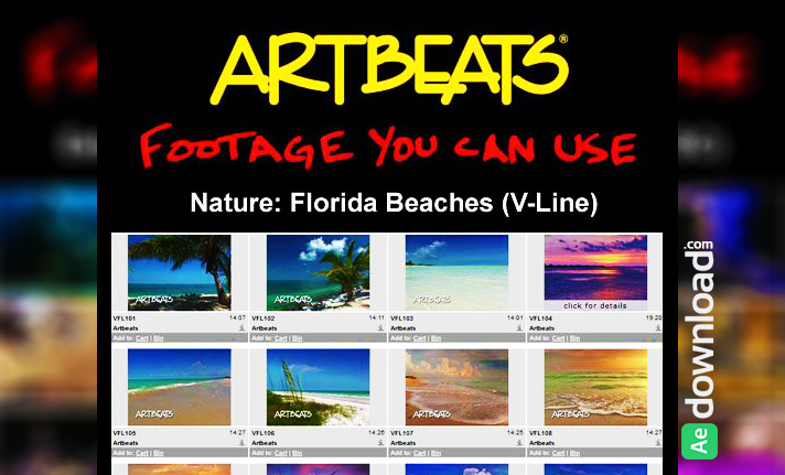 Free Download Artbeats Fooage - Nature Florida Beaches (V-Line) (NTSC)
