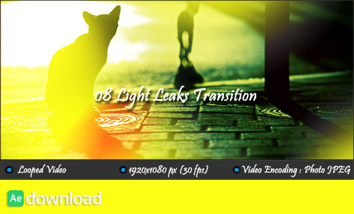 Light Leaks Transition free download
