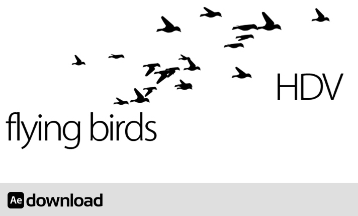 flying birds free download