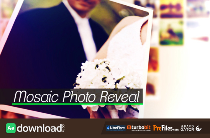 Mosaic Photo Reveal Free Download After Effects Templates