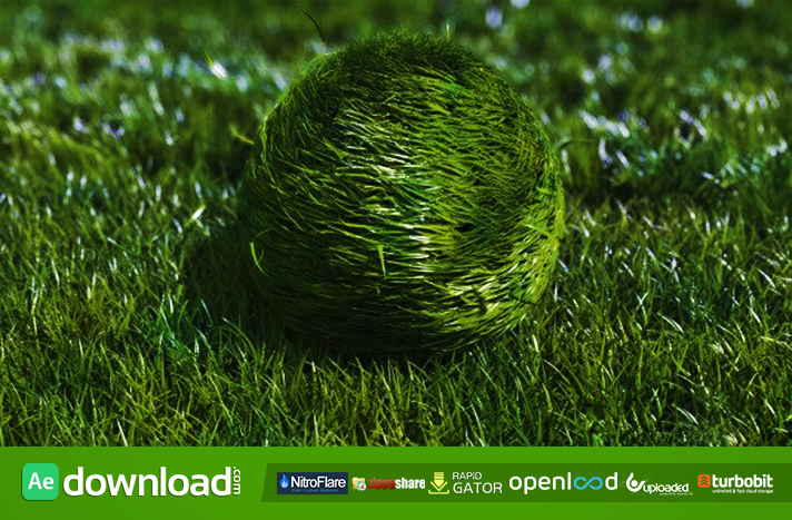 BOUNCY GRASS BALL LOGO REVEAL - AFTER EFFECTS PROJECT (VIDEOHIVE)