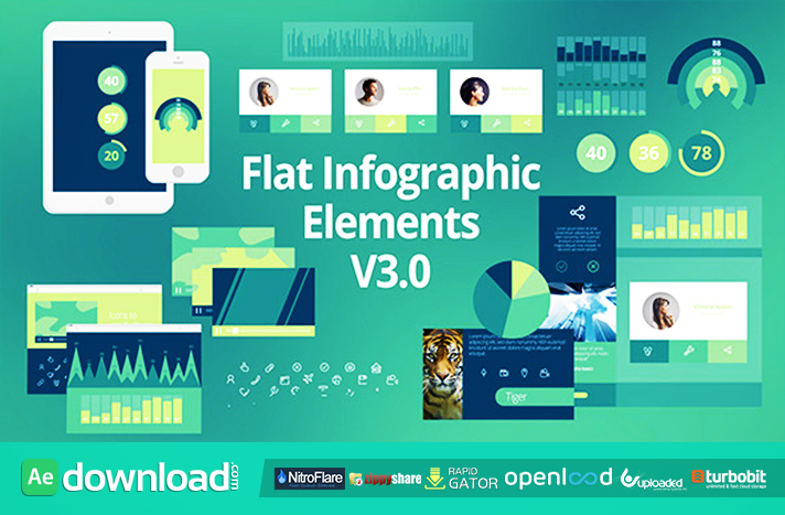 Flat Infographic Elements V3.0