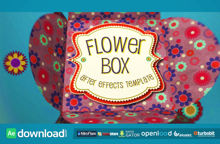 Flower Box Display