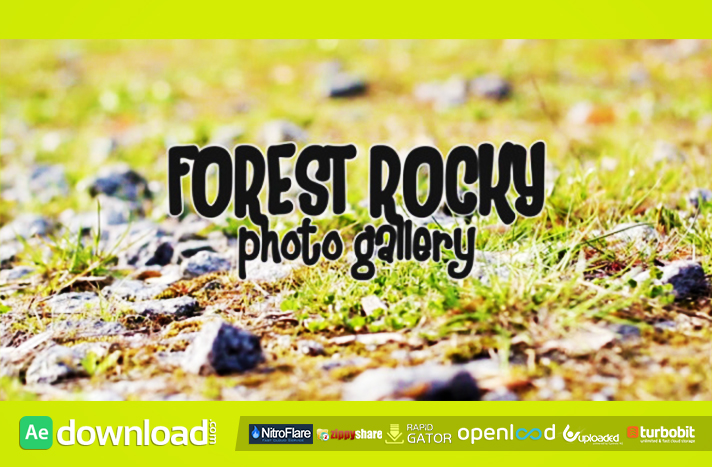 Forest Rocky Photo Gallery