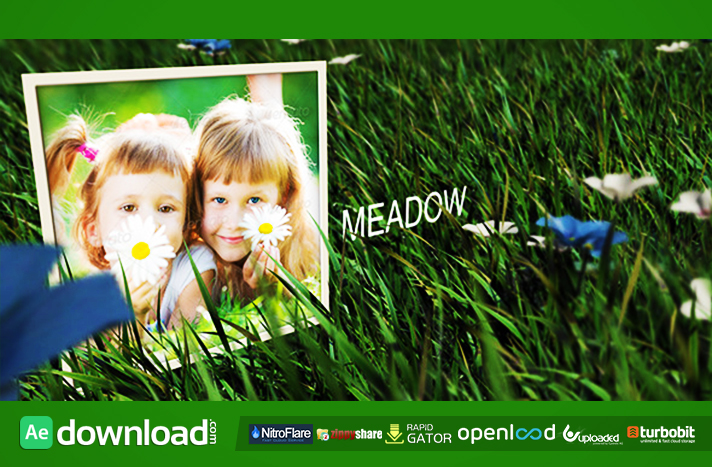 Meadow free download (videohive template)