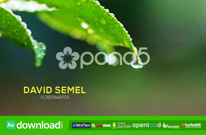 SIMPLE LOWER THIRD FREE DOWNLOAD POND5 TEMPLATE