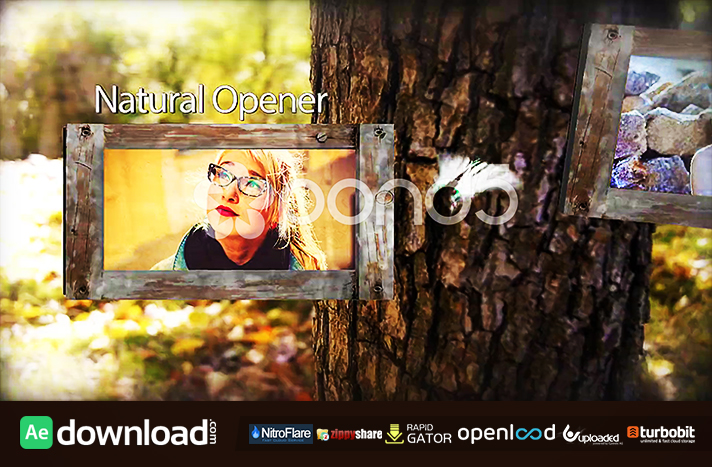 natural opener pond5 free download