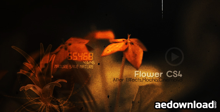 Flowers CS4