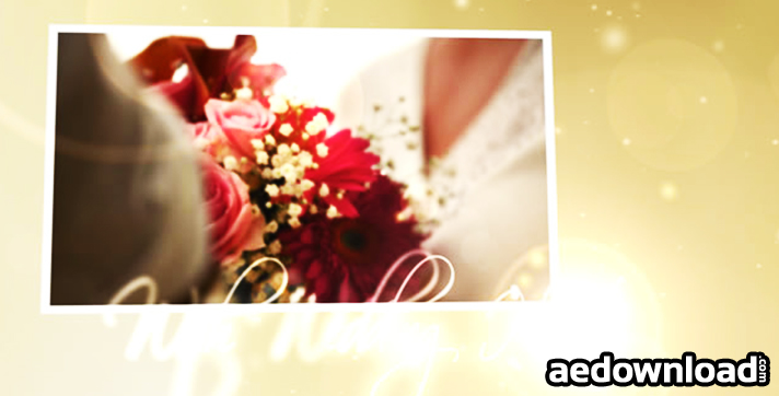 after effect cs4 template free download wedding