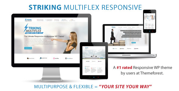 Striking-MultiFlex-Ecommerce-Responsive-WP-Theme