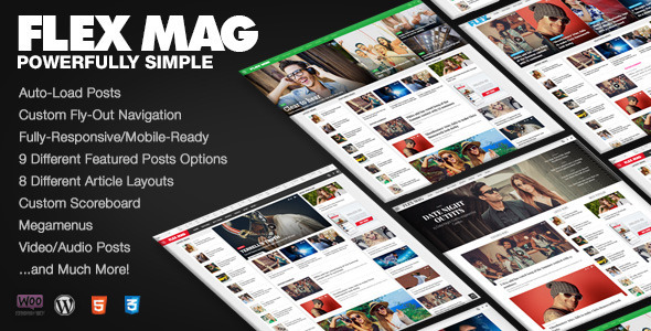 Flex-Mag-v1.0-----Responsive-WordPress-News-Theme