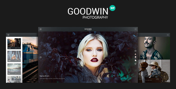 Photography-Video-GoodWin-WordPress-Theme-