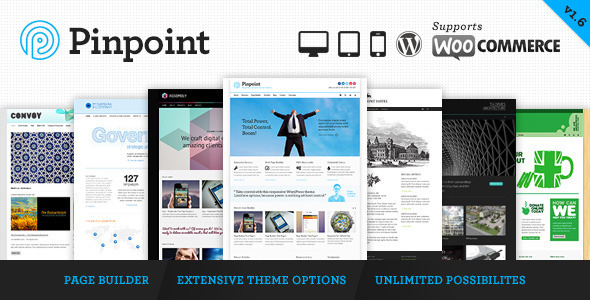 Pinpoint-Responsive-Multi-Purpose-WP-Theme