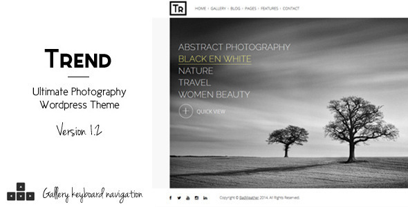 Trend-v3.5-----Photography-WordPress-Theme