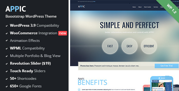 Appic-Business-Technology-WordPress-Theme-v1.2.16