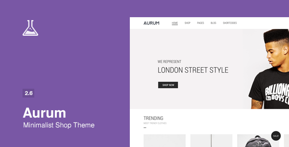 Aurum-v2.6-Minimalist-Shopping-Theme-