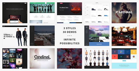 Cardinal-v2.33-----Responsive-WordPress-Theme