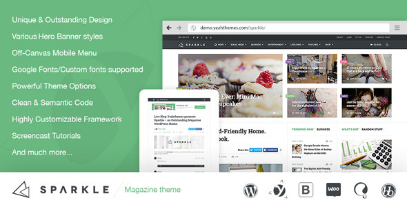 Sparkle-v1.0.5.1-----Outstanding-Magazine-theme-for-WordPress