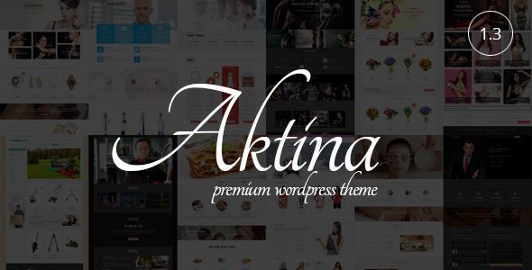 Aktina-v1.2.3-Responsive-Multi-Purpose-WordPress-Theme