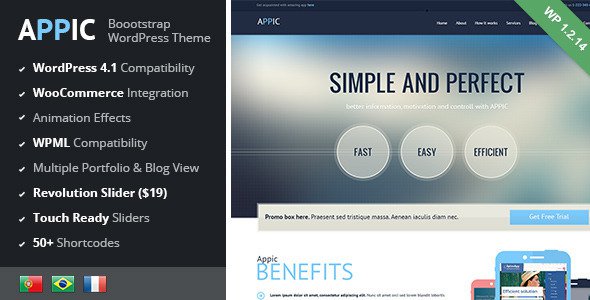 Appic-v1.2.14-Business-Technology-WordPress-Theme