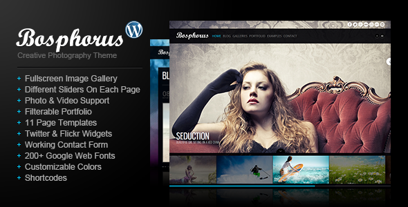 CodeGrape-Bosphorus-v1.0.0-WordPress-Creative-Theme