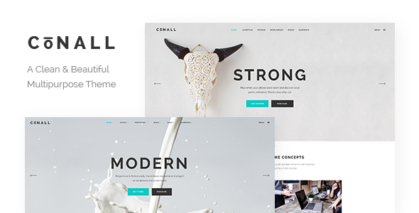 Conall-A-Clean-Beautiful-Multipurpose-Theme