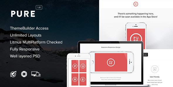 Pure-Responsive-Email-Themebuilder-Access