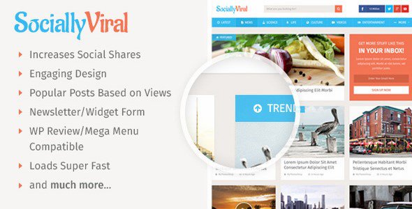 SociallyViral-v1.0.5-Premium-Wordpress-Theme-gfxfree.net_