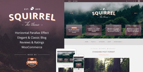 Squirrel-v.1.0-A-Responsive-WordPress-Blog-Theme