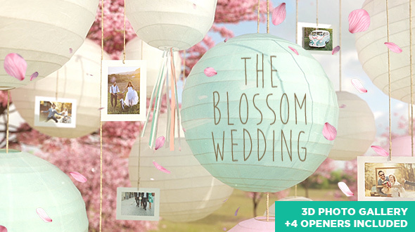 The Blossom Wedding - Photo Gallery Slideshow