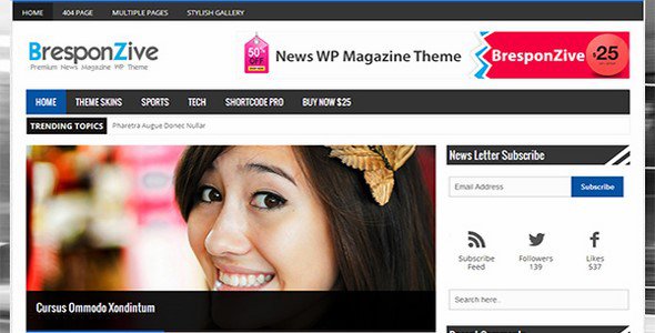 ThemePacific-BresponZive-Mag-Pro-v3.4-Theme-For-WordPress-gfxfree.net_