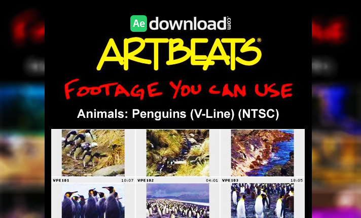 ARTBEATS - ANIMALS PENGUINS (V-LINE) (NTSC)