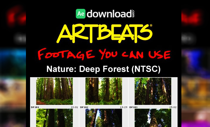 ARTBEATS - NATURE DEEP FOREST (NTSC)
