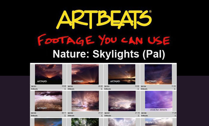 ARTBEATS - NATURE SKYLIGHTS (PAL)1