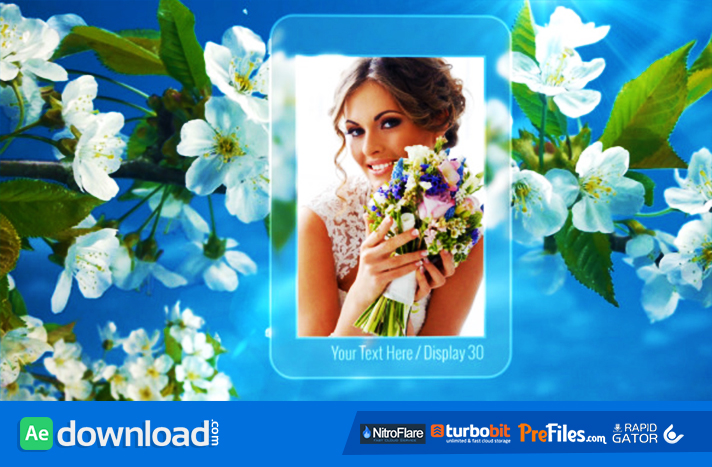 Photo Gallery Spring Blossoms Free Download After Effects Templates