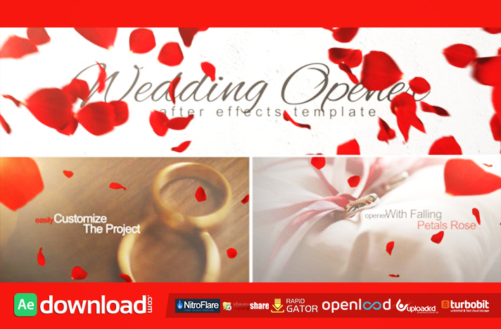 Wedding Opener free download (videohive template)