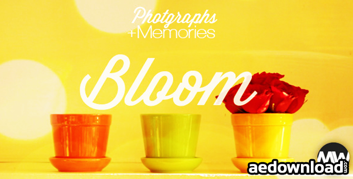 Photographs and Memories BloomPhotographs and Memories Bloom
