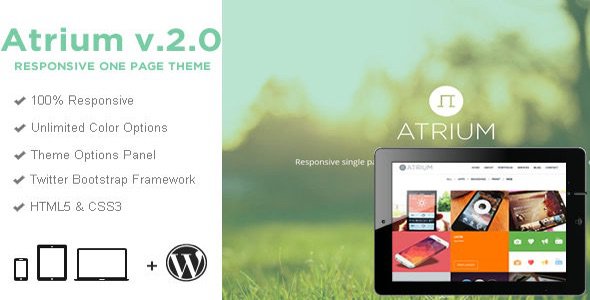 Atrium-v2.1.0-One-Page-Parallax-WordPress-Theme-1