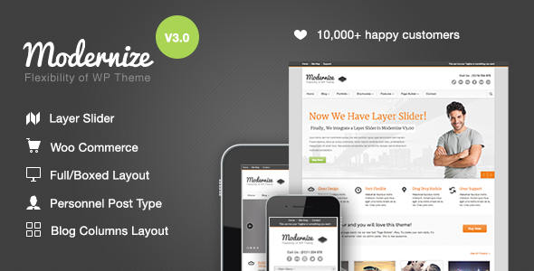 Modernize-v3.17-Flexibility-of-Wordpress